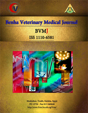 Benha Veterinary Medical Journal